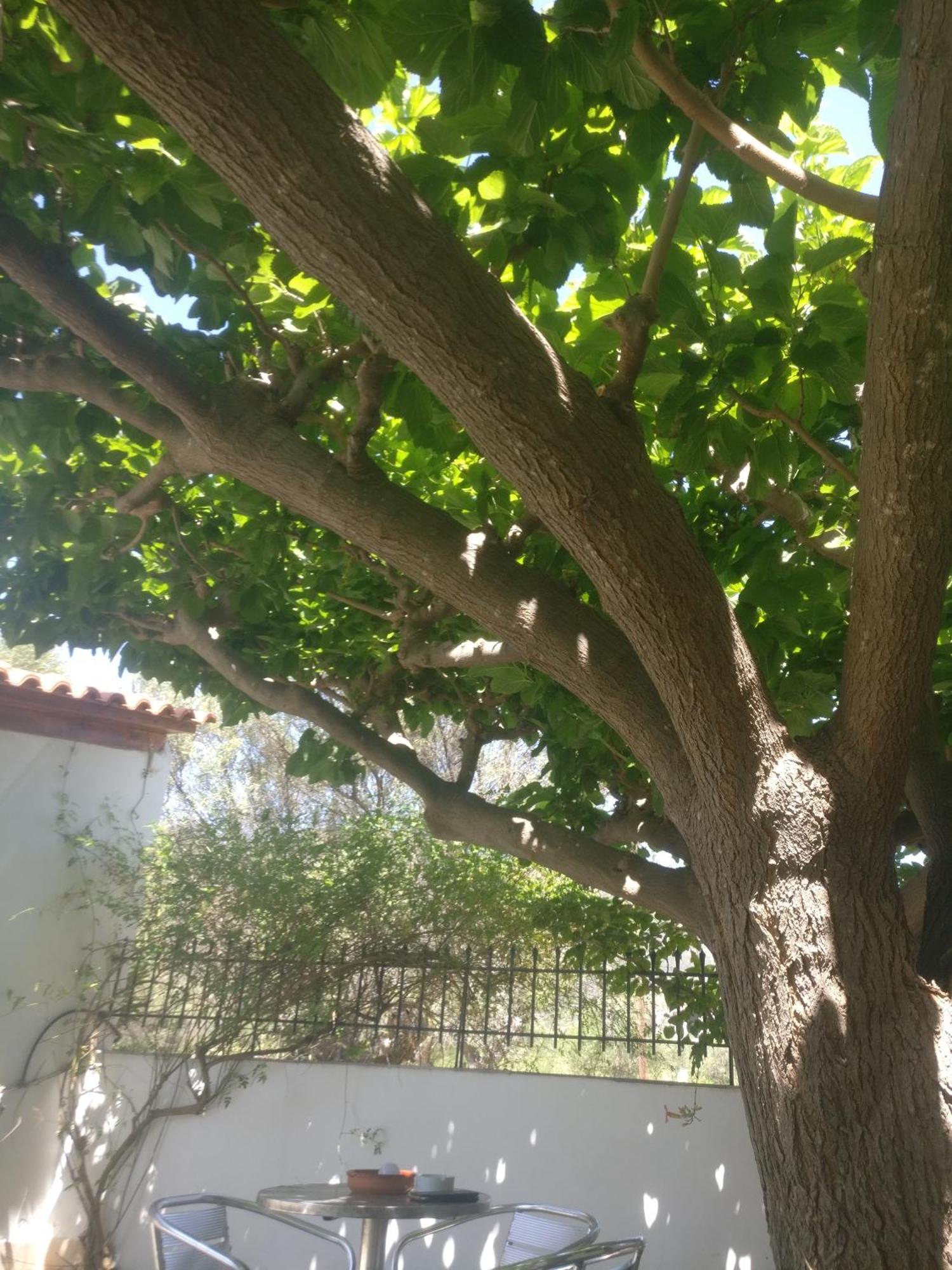 Yfantis Sakis Apartment'S Eratini Zewnętrze zdjęcie