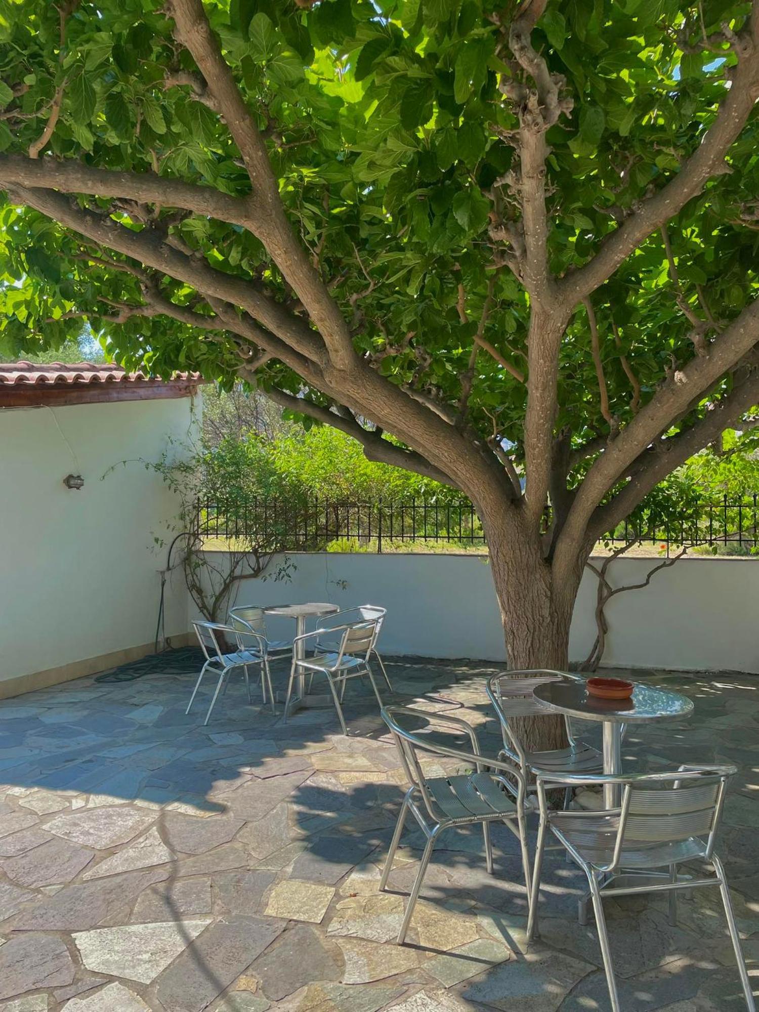 Yfantis Sakis Apartment'S Eratini Zewnętrze zdjęcie